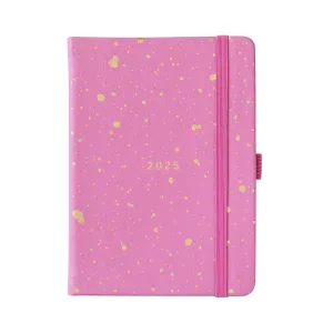 2025 To Do Diary | Fuchsia & Gold | A6