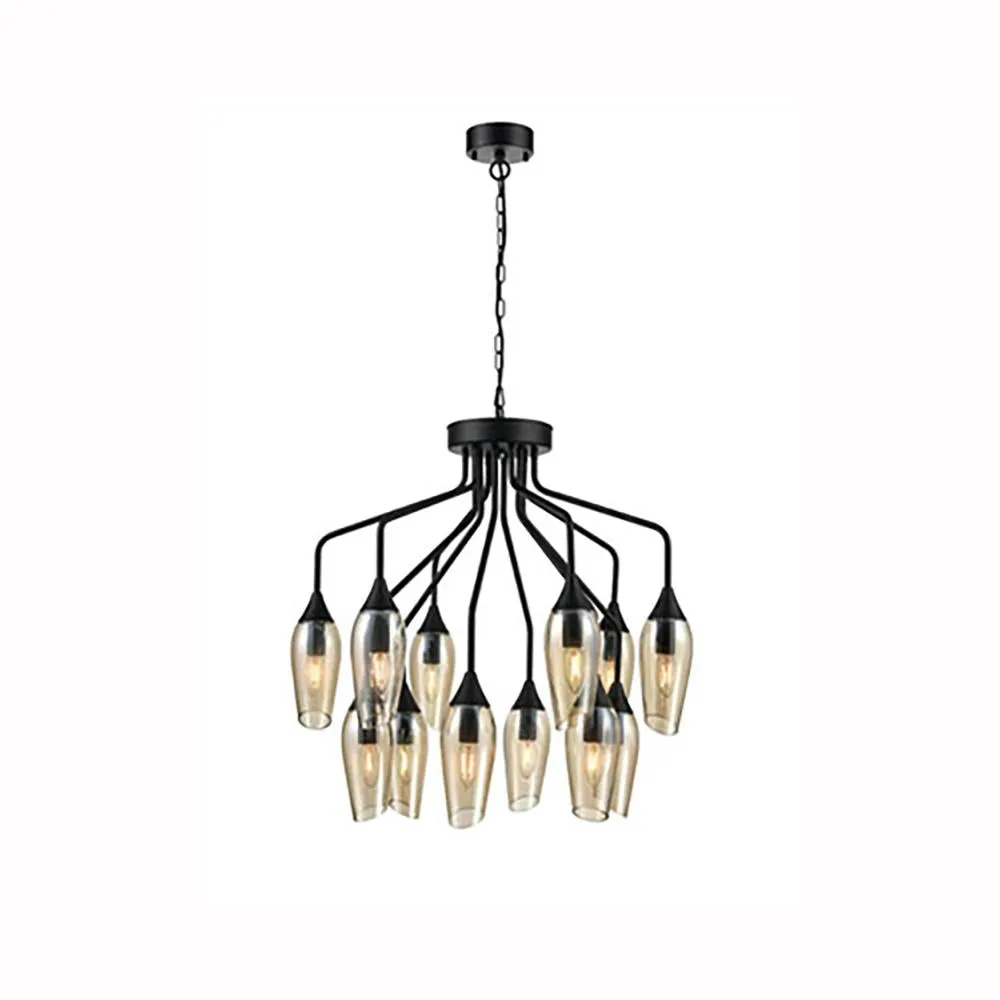 643/21-0242LF 12 Light Suspended Light Matt Black