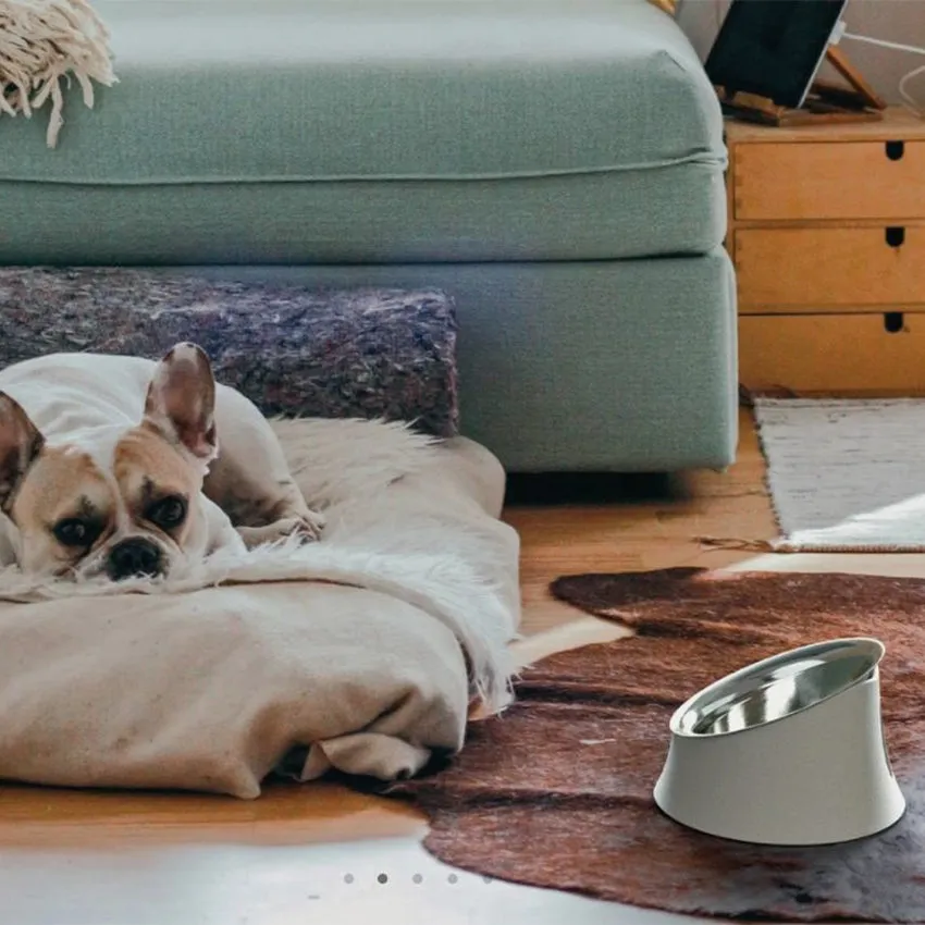 Alessi | Wowl Dog Bowl