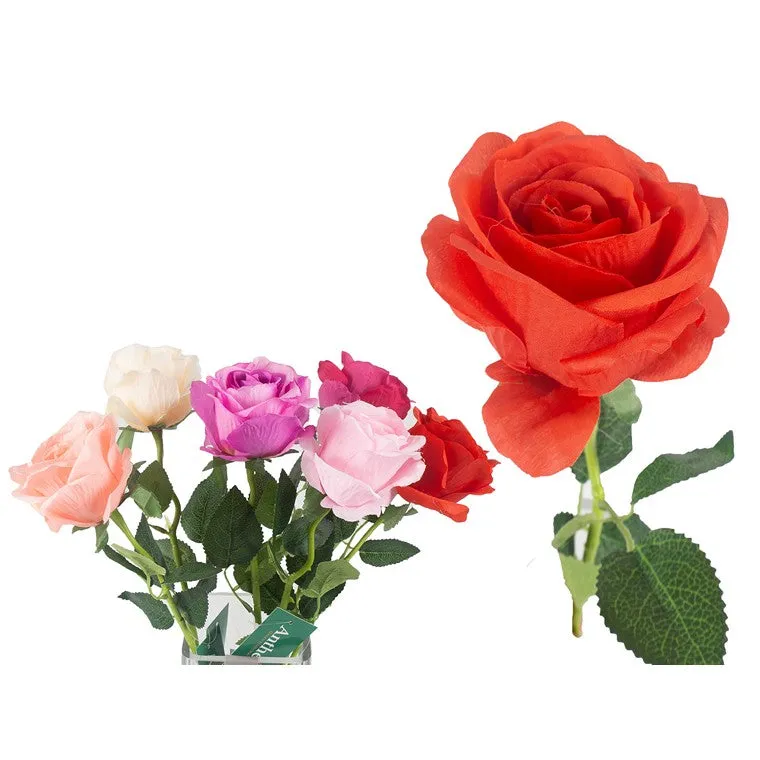 Antheia Single Rose, 50cm, 6 Asstd