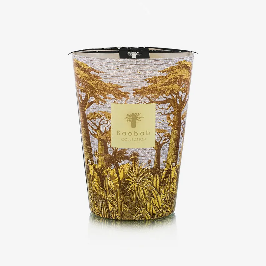 Baobab Collection | Sacred Trees Cocody