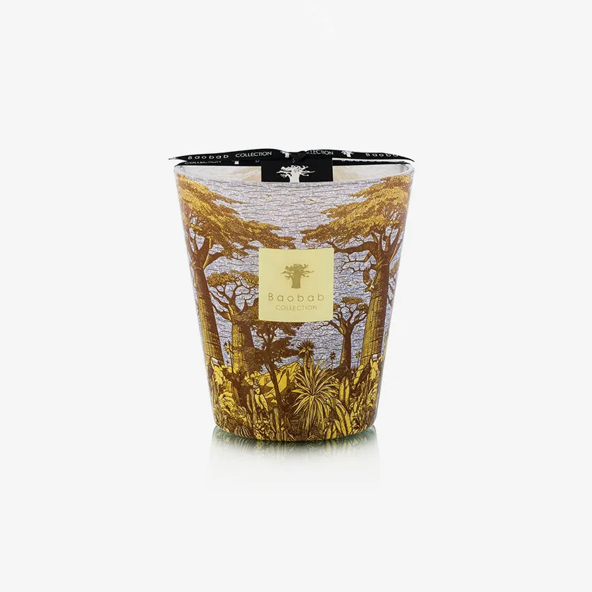 Baobab Collection | Sacred Trees Cocody