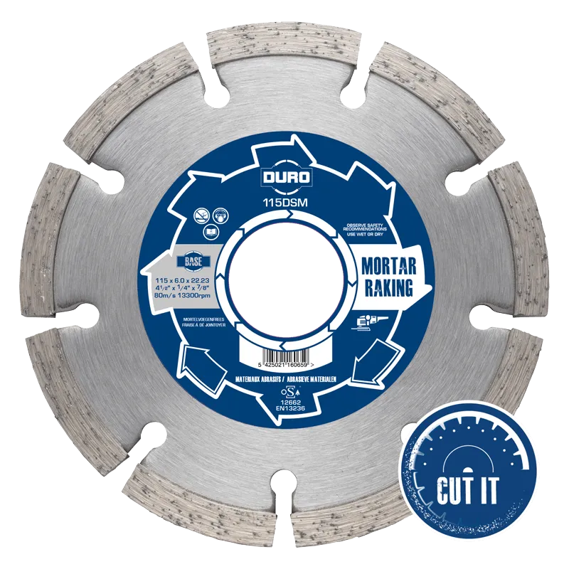 Duro DSM Mortar Removal Mortar Raking Blade