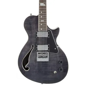 ESP LTD BW-1 Electric Guitar - See Thru Black