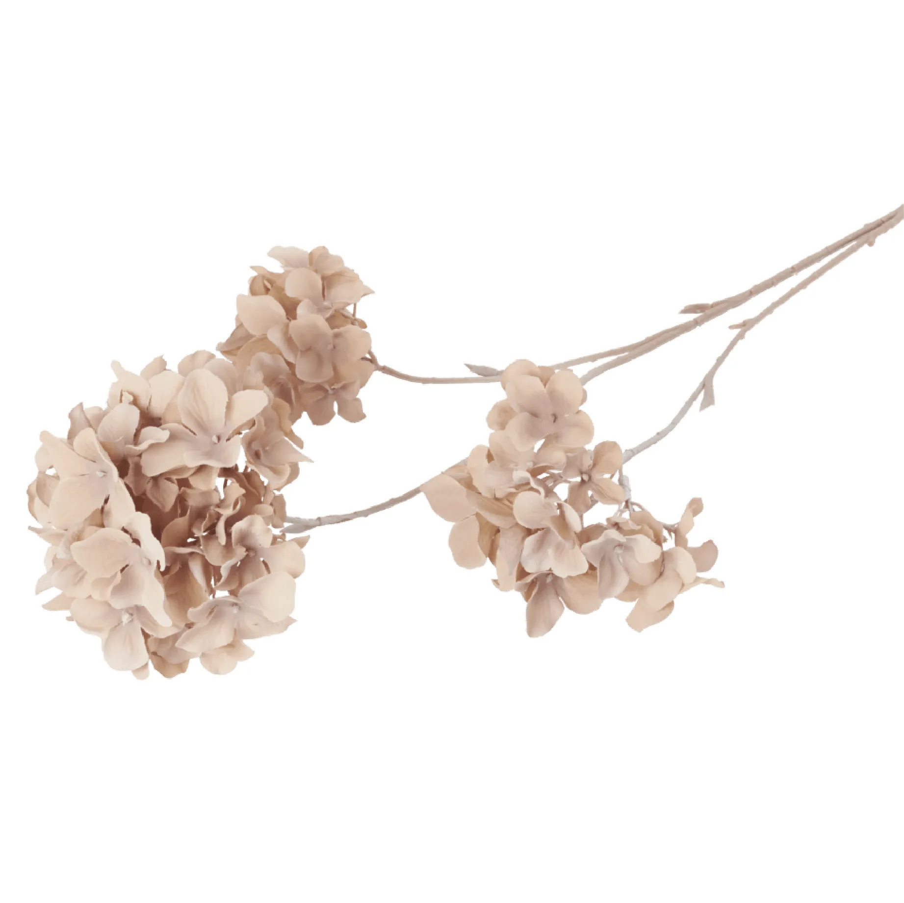 Faux Hydrangea Paniculata Stem | Beige