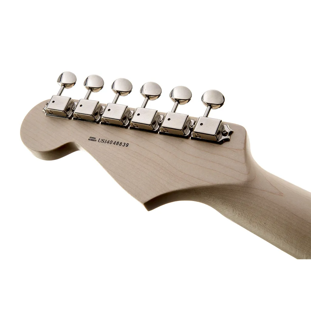 Fender Eric Clapton Stratocaster - Pewter - Maple Fretboard