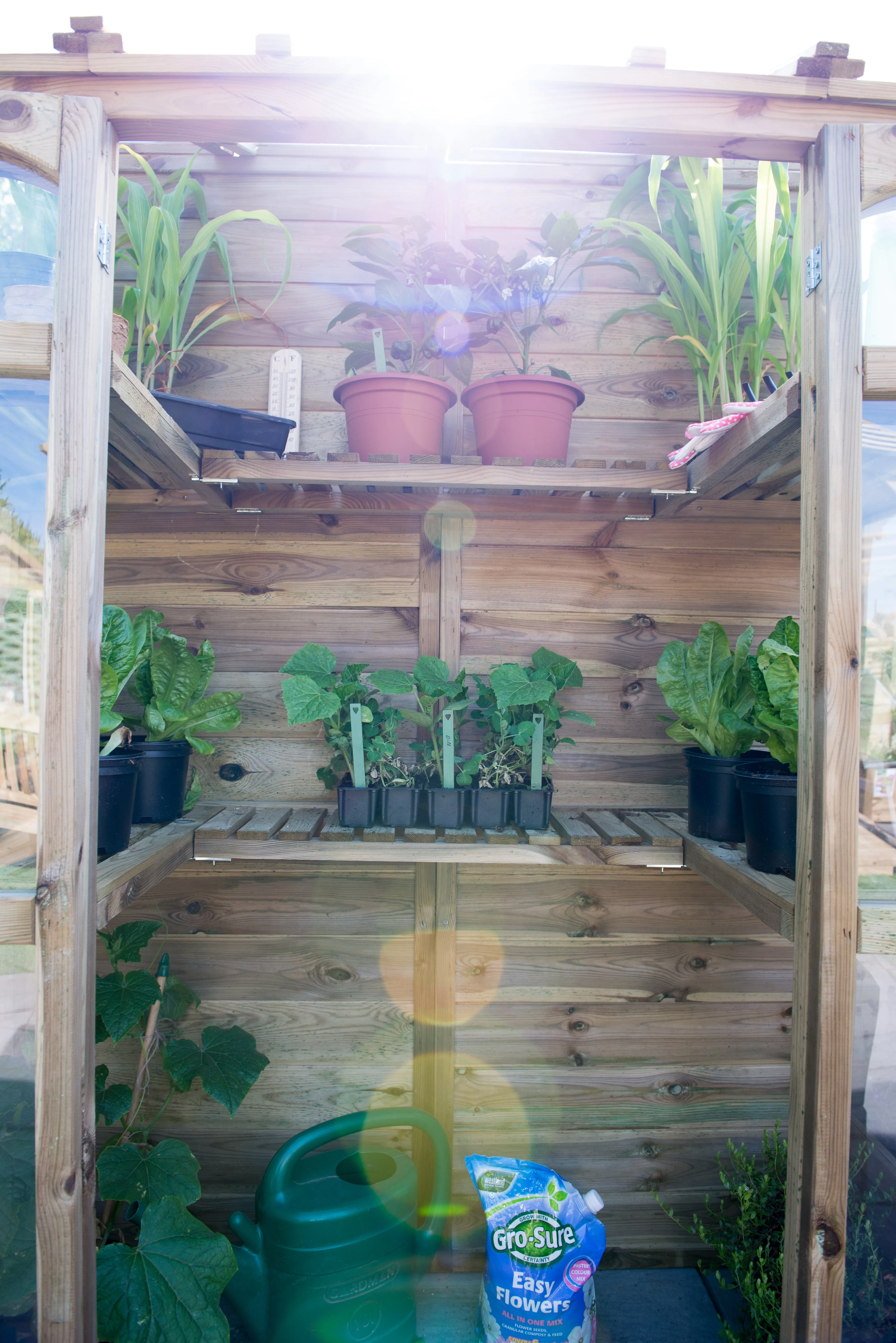 Forest Garden Victorian Tall Wall Greenhouse