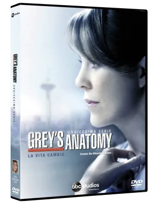 Grey's Anatomy - Stagione 11 6DVD
