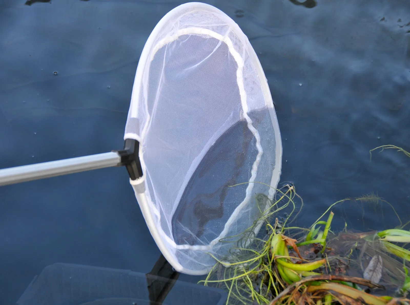 Hozelock Skimmer Net 1734
