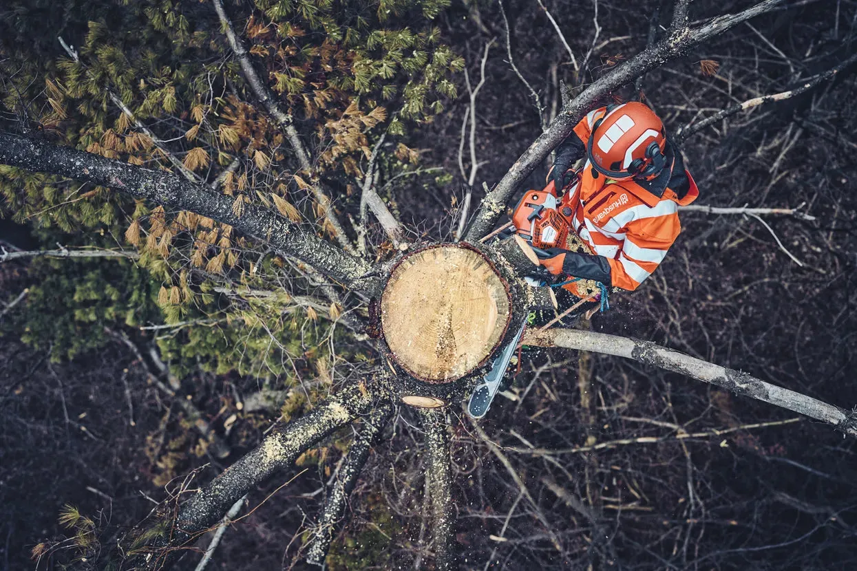 Husqvarna 562 XP Mark II Professional Chainsaw