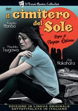 Il Cimitero Del Sole