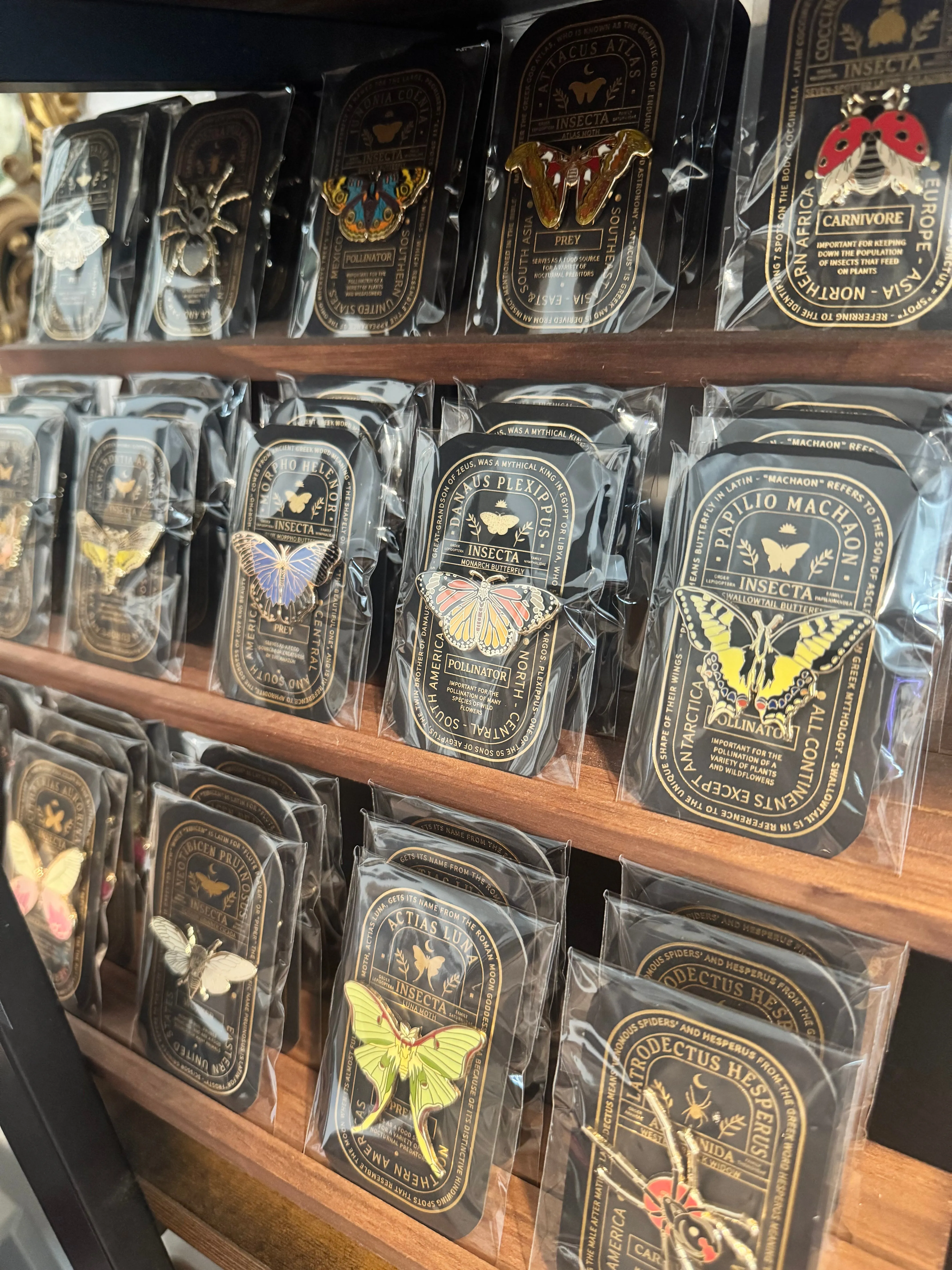 Insect / Entomology Enamel Pins