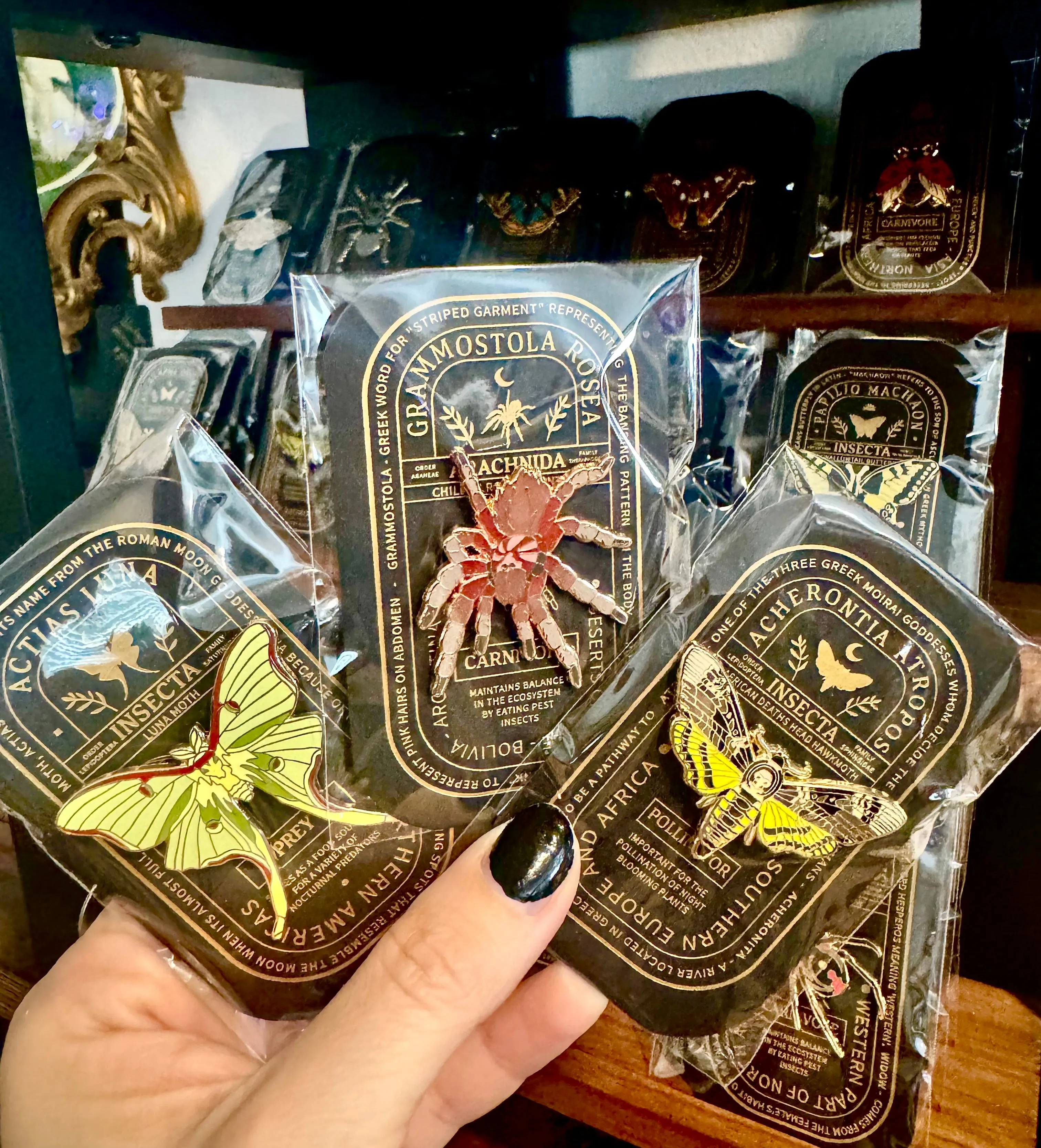 Insect / Entomology Enamel Pins