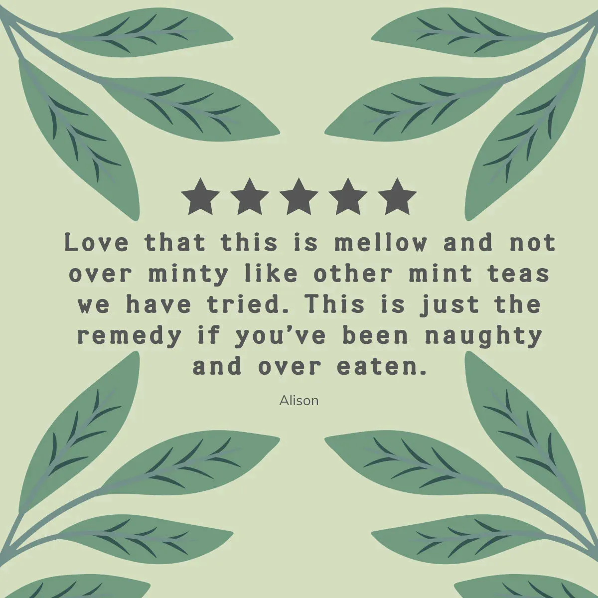 Organic Green Tea with Mint Tea Bags