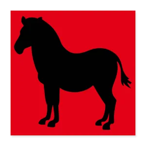 PONY Poster 16x16