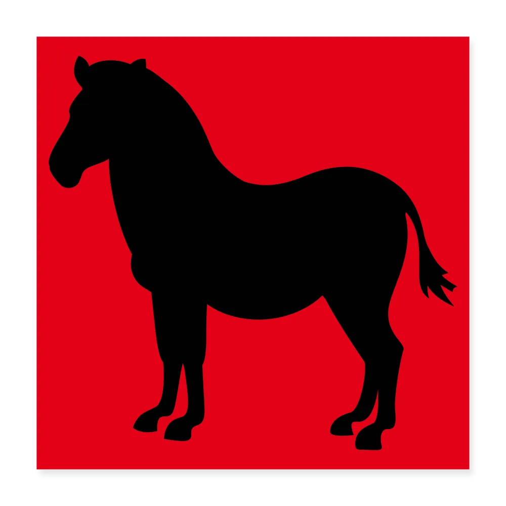 PONY Poster 16x16