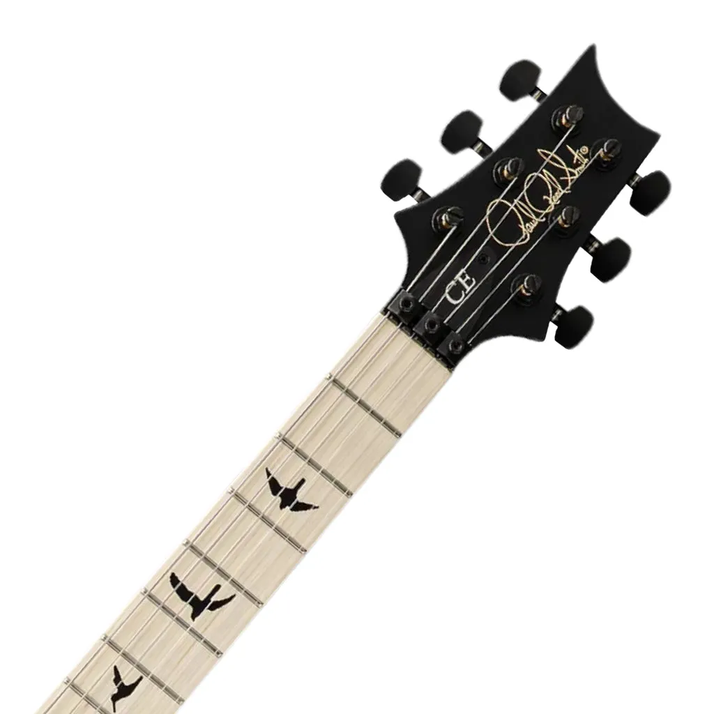 PRS Dustie Warring CE24 Floyd Grey Black Stained Binding 85