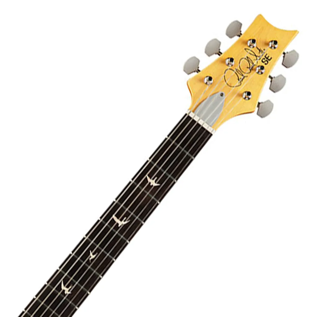 PRS SE John Mayer Silver Sky - Ever Green
