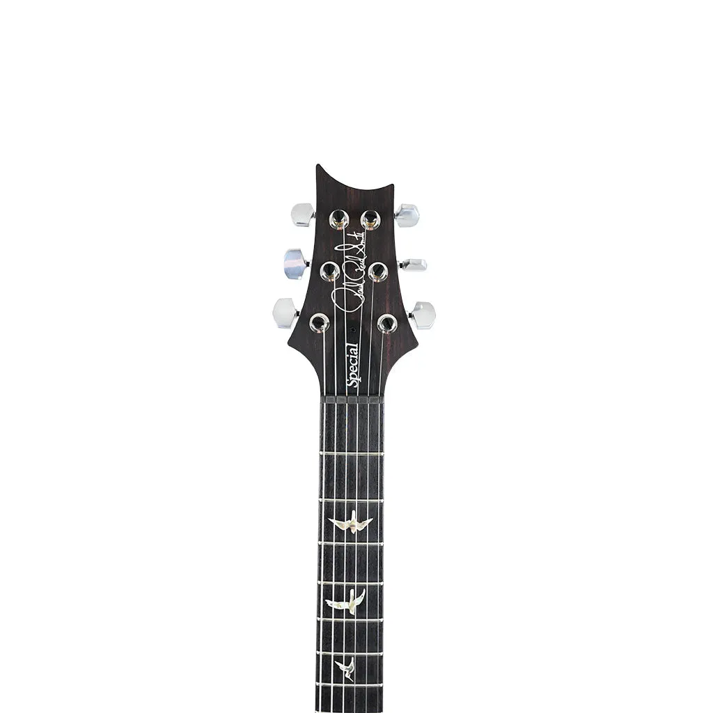 PRS Special Semi Hollow - Purple Mist