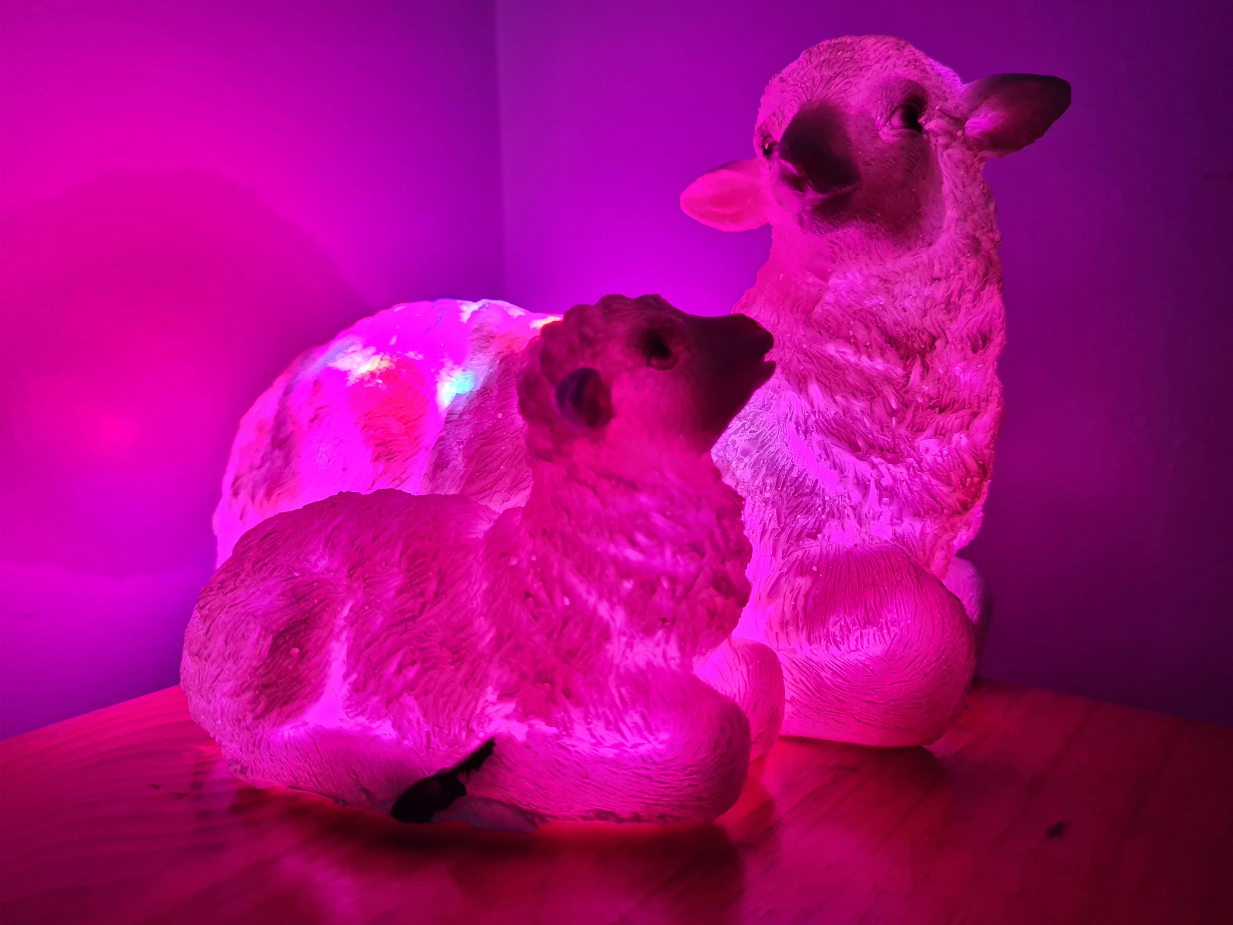 Sale💥UNIQUE EWE & LAMB LAMP-made by me