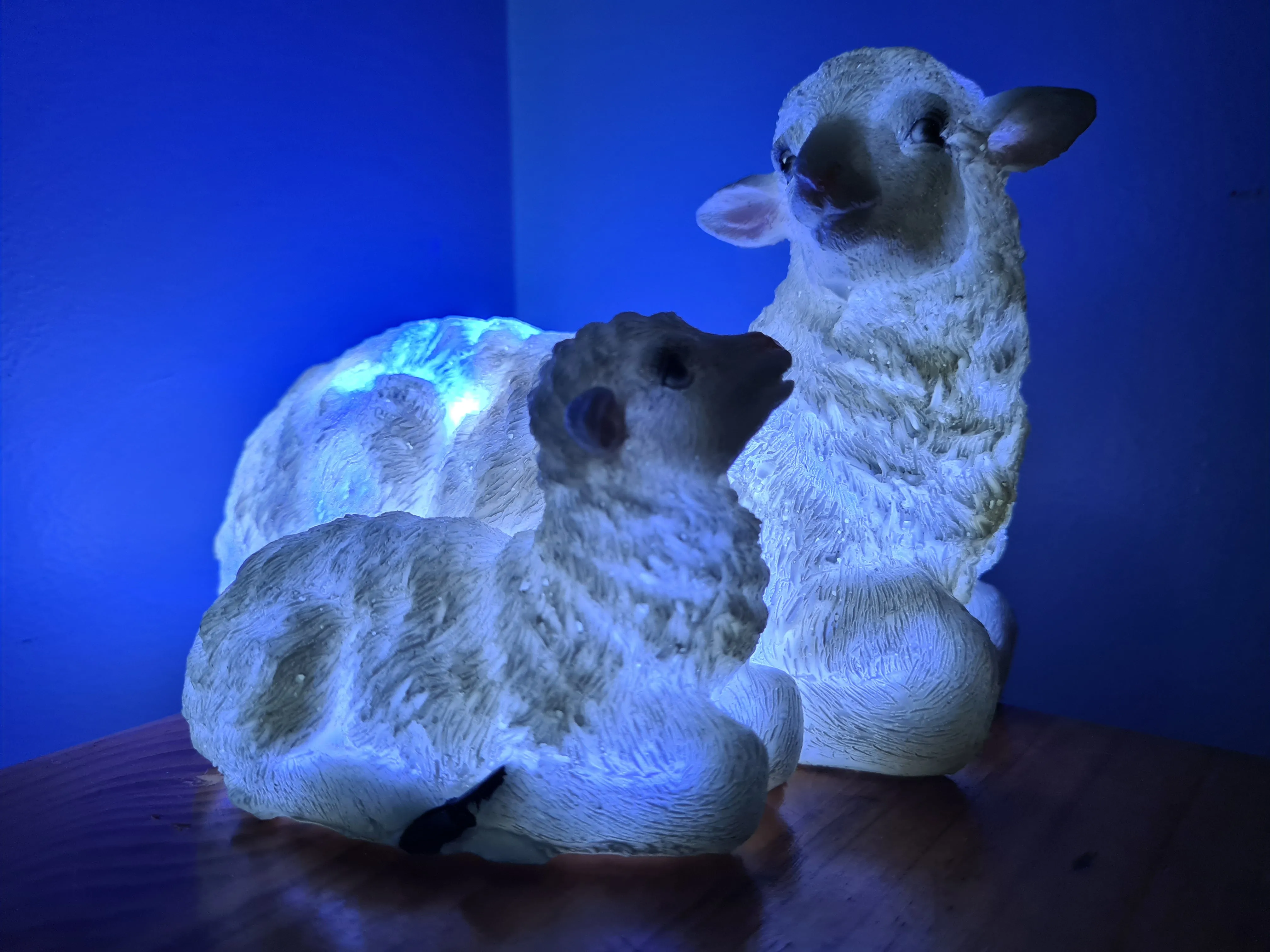 Sale💥UNIQUE EWE & LAMB LAMP-made by me