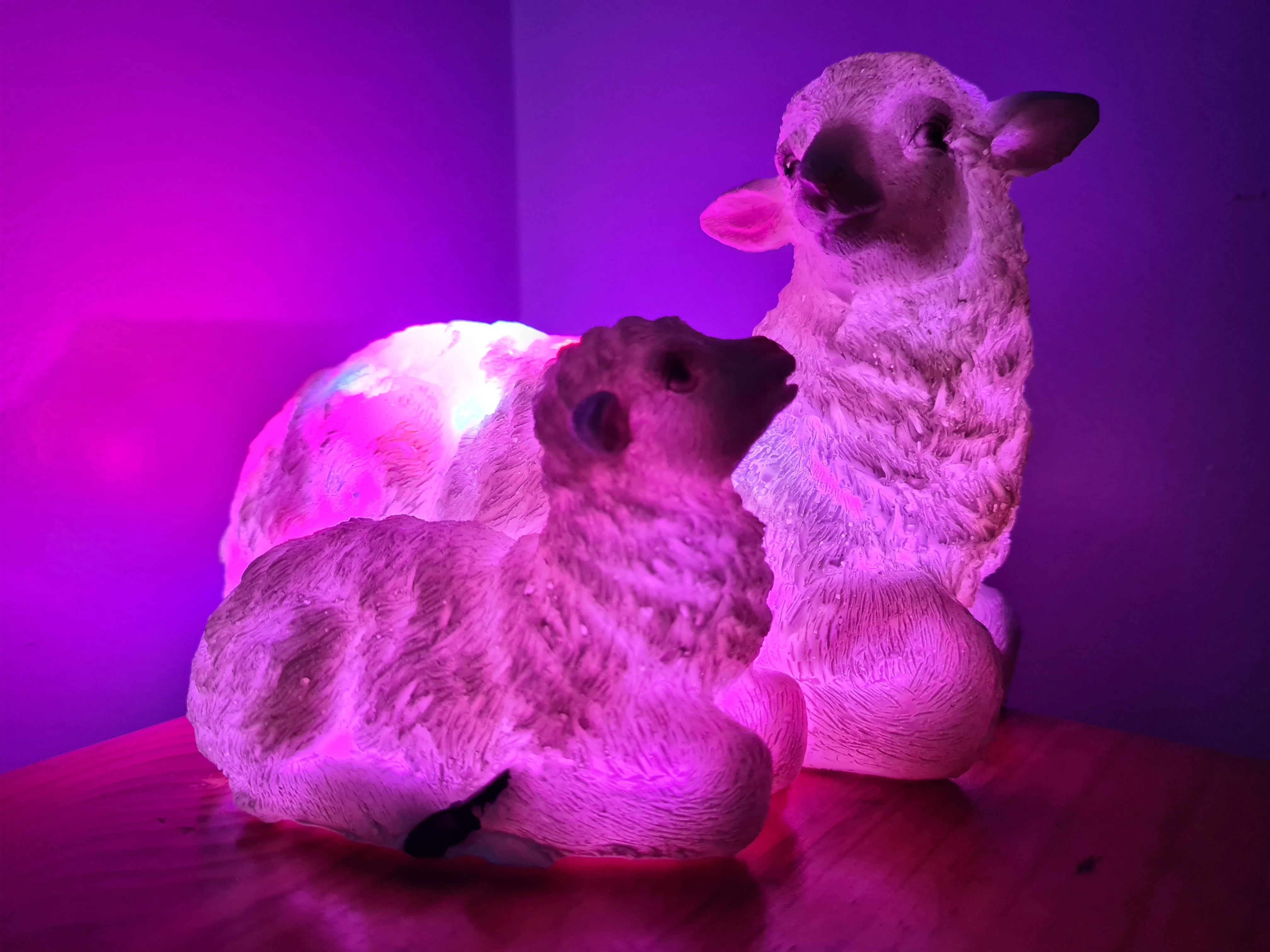 Sale💥UNIQUE EWE & LAMB LAMP-made by me