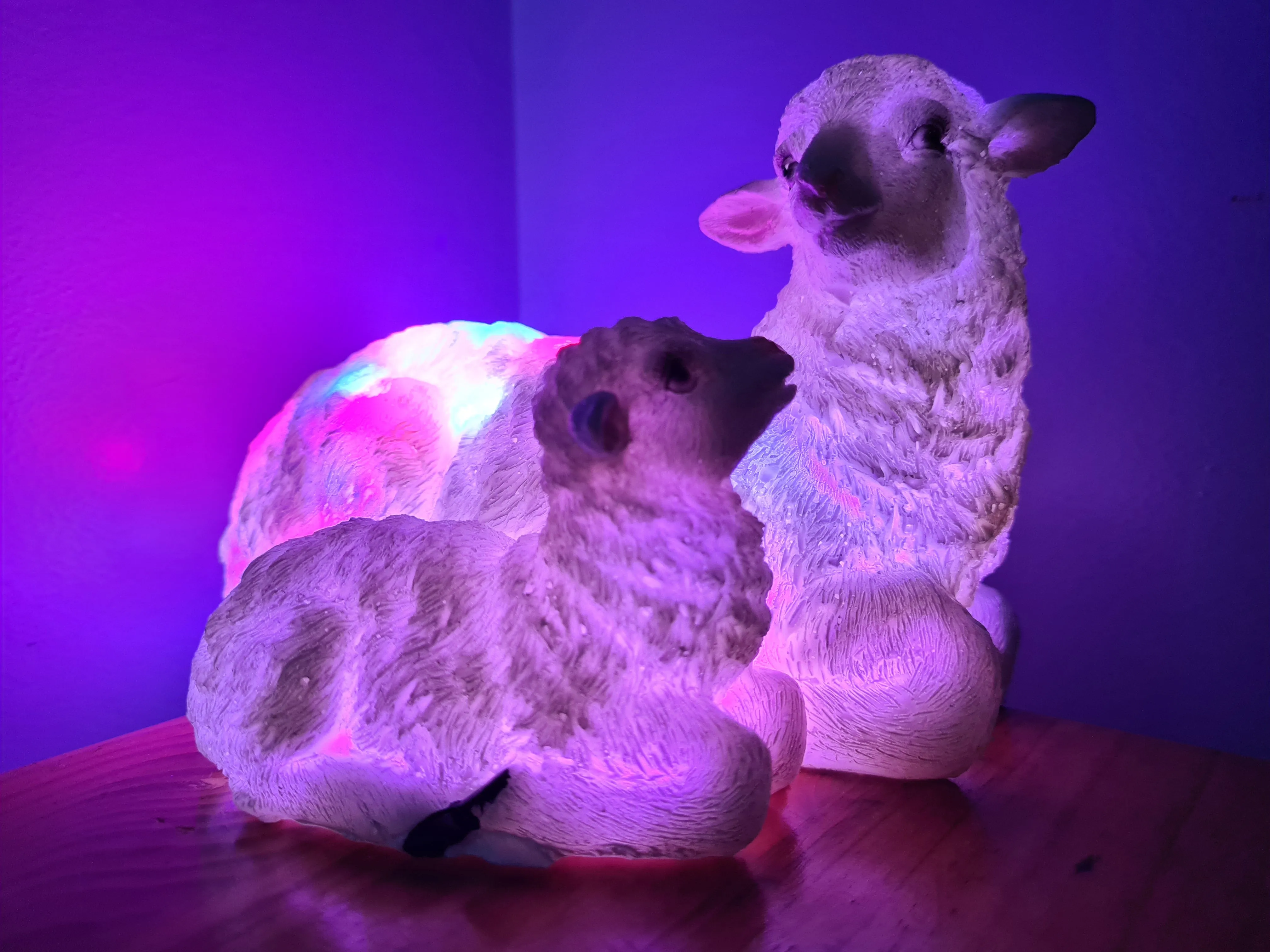 Sale💥UNIQUE EWE & LAMB LAMP-made by me