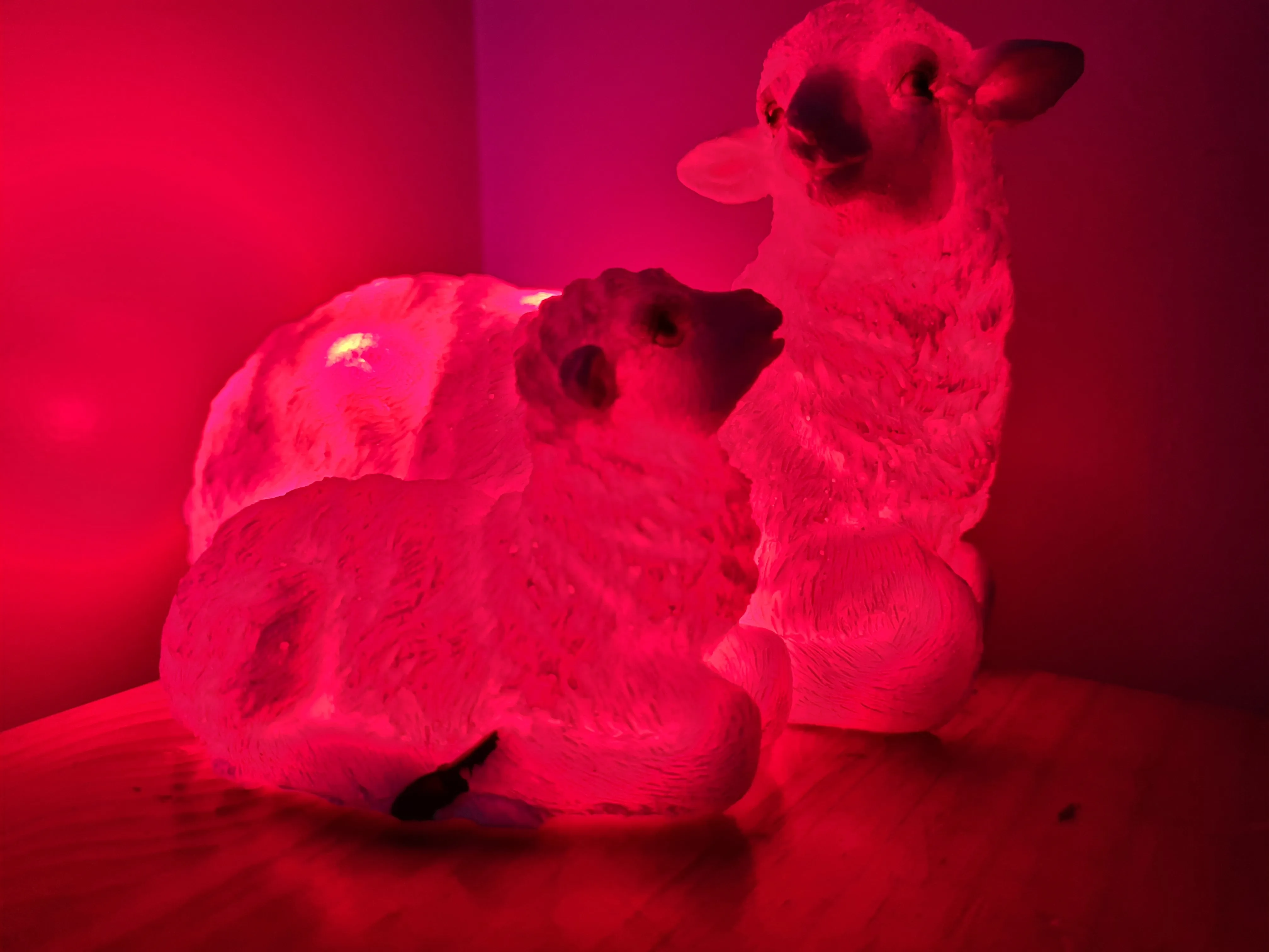 Sale💥UNIQUE EWE & LAMB LAMP-made by me