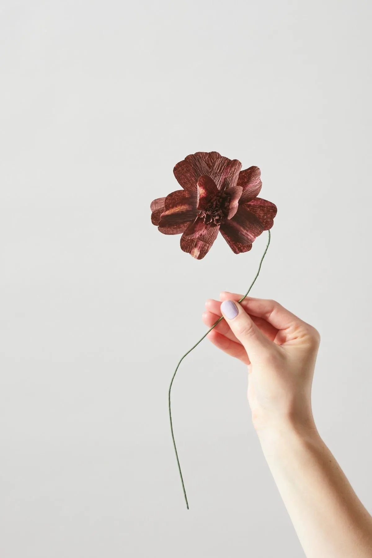 Studio About Paper Flower Daisy, Bordeaux