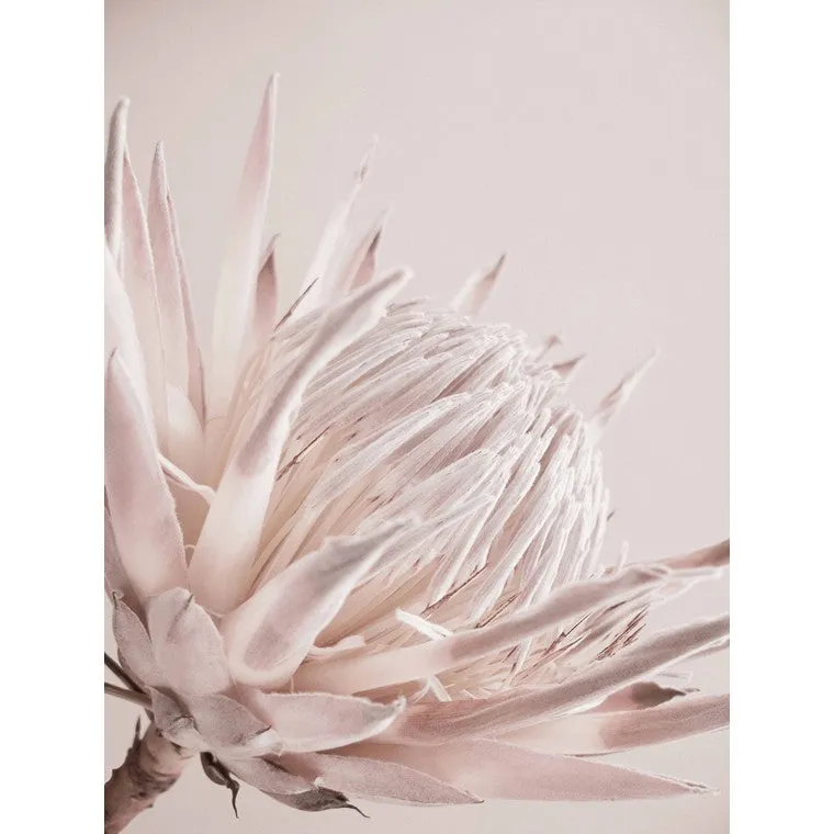 Subtle Florals, Canvas Print, Asstd