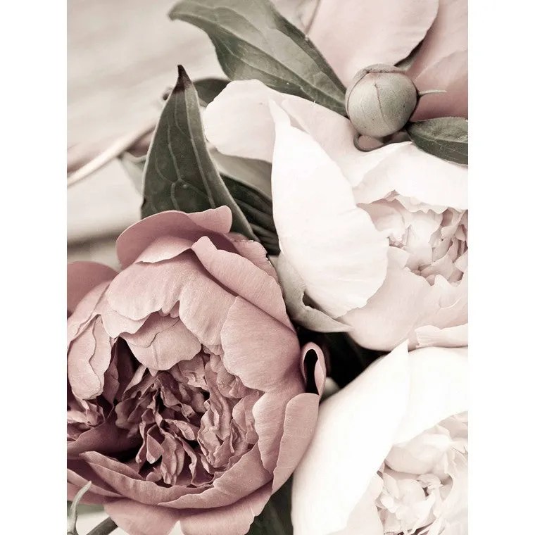 Subtle Florals, Canvas Print, Asstd