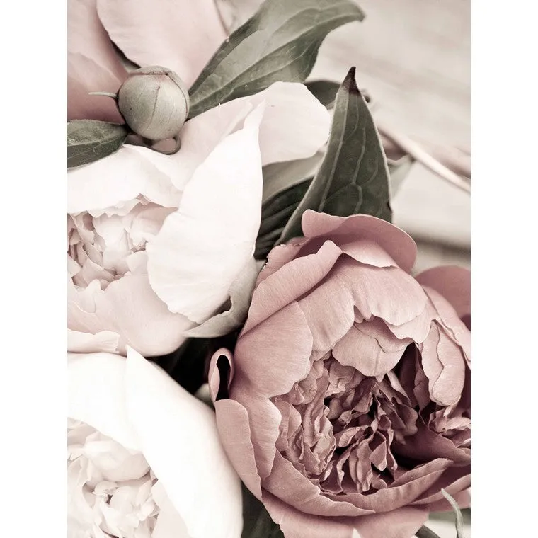Subtle Florals, Canvas Print, Asstd