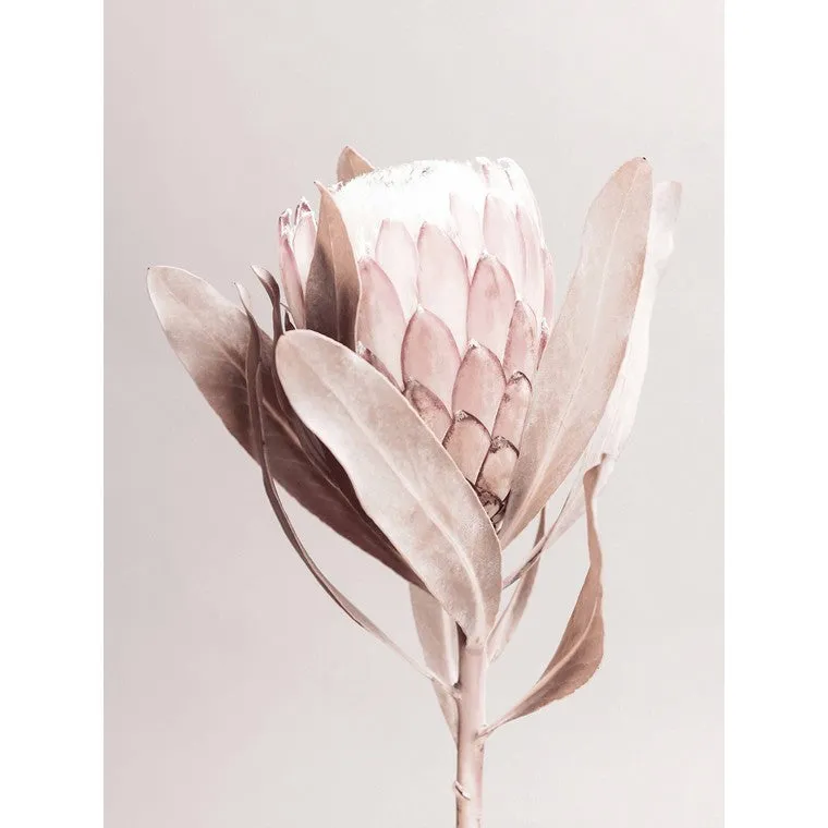Subtle Florals, Canvas Print, Asstd