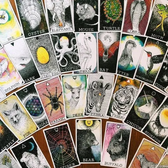 The Wild Unknown Tarot Deck and Guidebook by Kim Krans