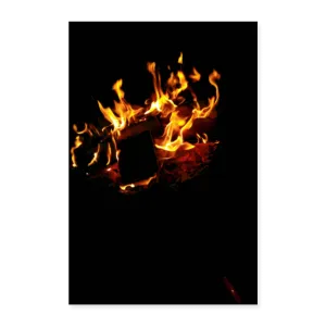 TOASTED Poster 8x12