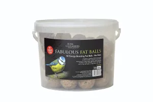 Tom Chambers Fabulous Fat Balls 50 Value Tub