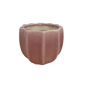 Tulip Pot