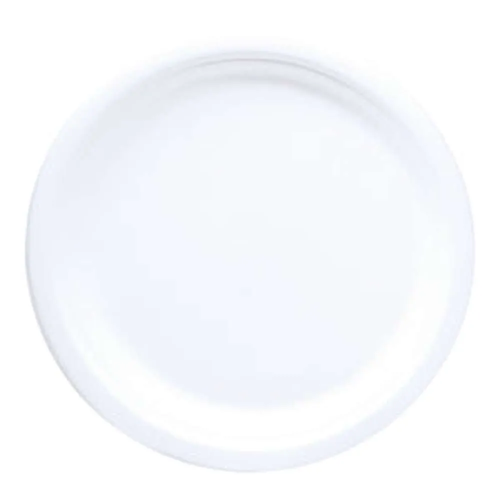 UBL Biodegradable Plates 12pc 22cm