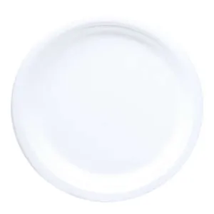 UBL Biodegradable Plates 12pc 22cm
