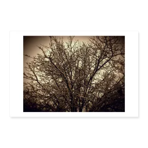 VEINS Poster 12x8