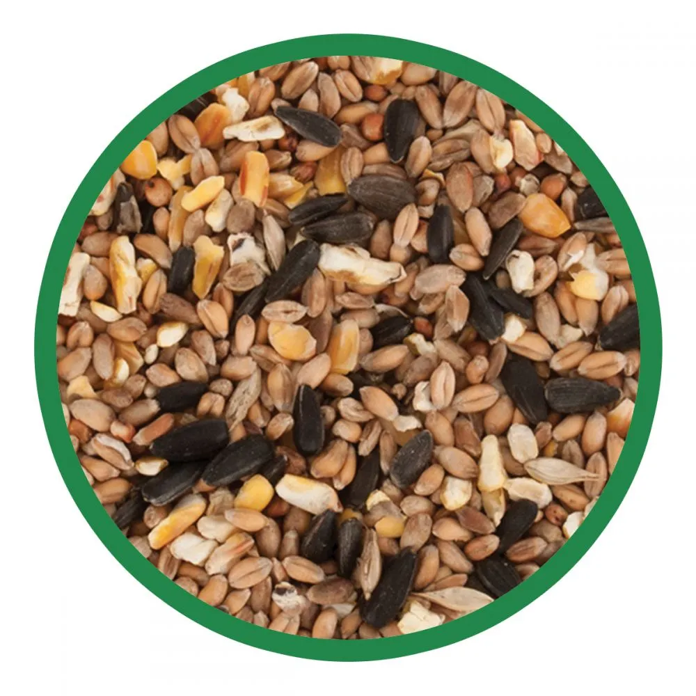 Walter Harrison's Wild Bird Mix Bird Feed Pouch 2kg