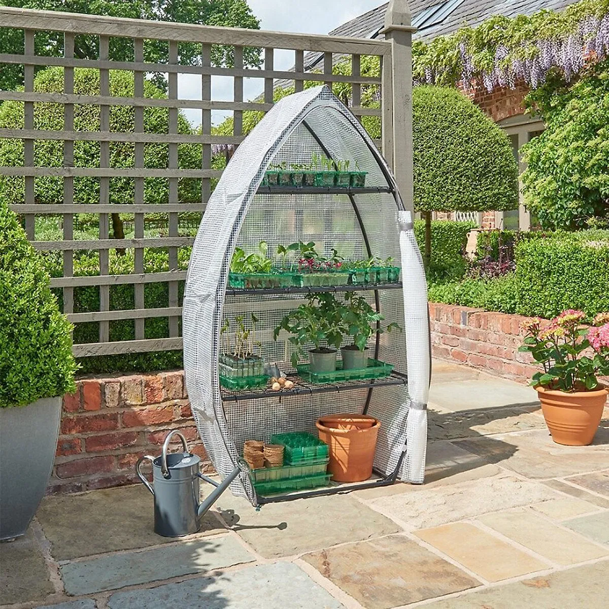 Westland Gro-sure Visiroot 12 Tray Clear Growhouse